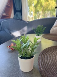 Artificial Plant (Faux Greenery)