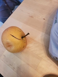 Asian Pear