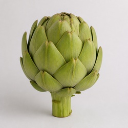 Artichoke Identification Guide