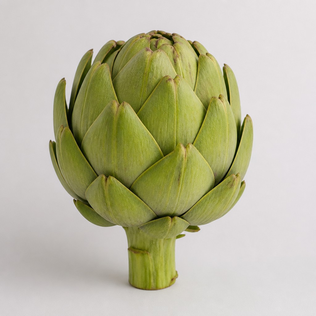 Artichoke