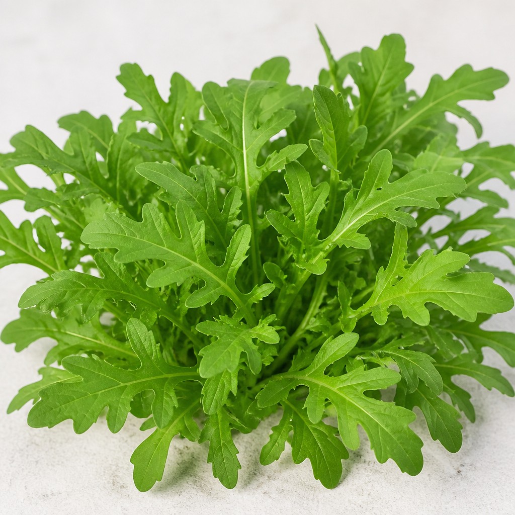 Arugula