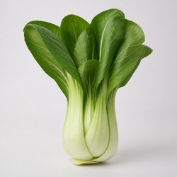 Bok Choy Identification Guide