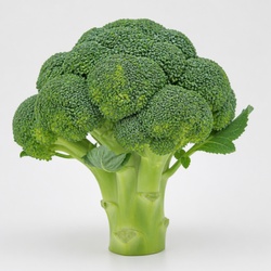 Broccoli Identification Guide