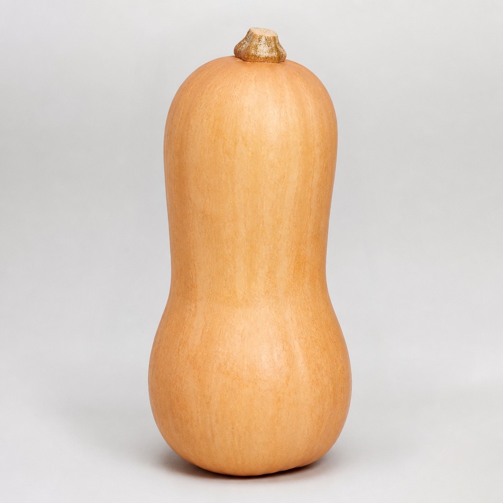 Butternut Squash