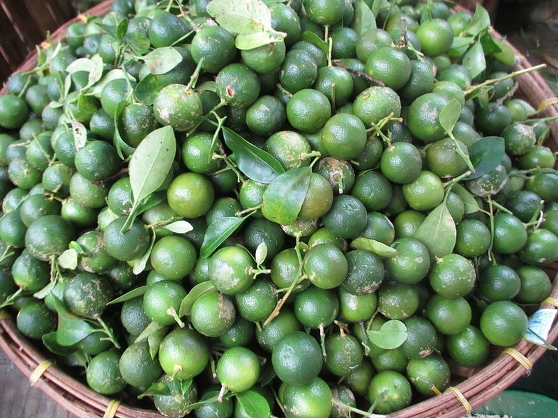 How to Care for Calamondin