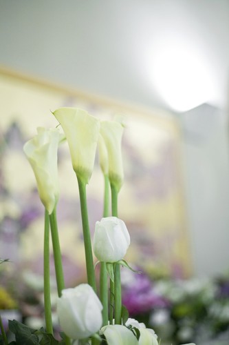 Calla Lily