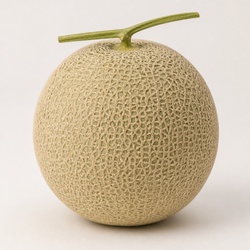 Cantaloupe Identification Guide