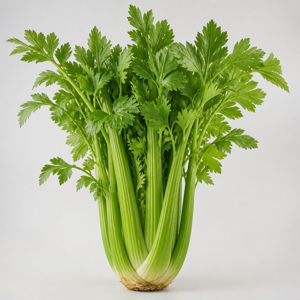 Celery