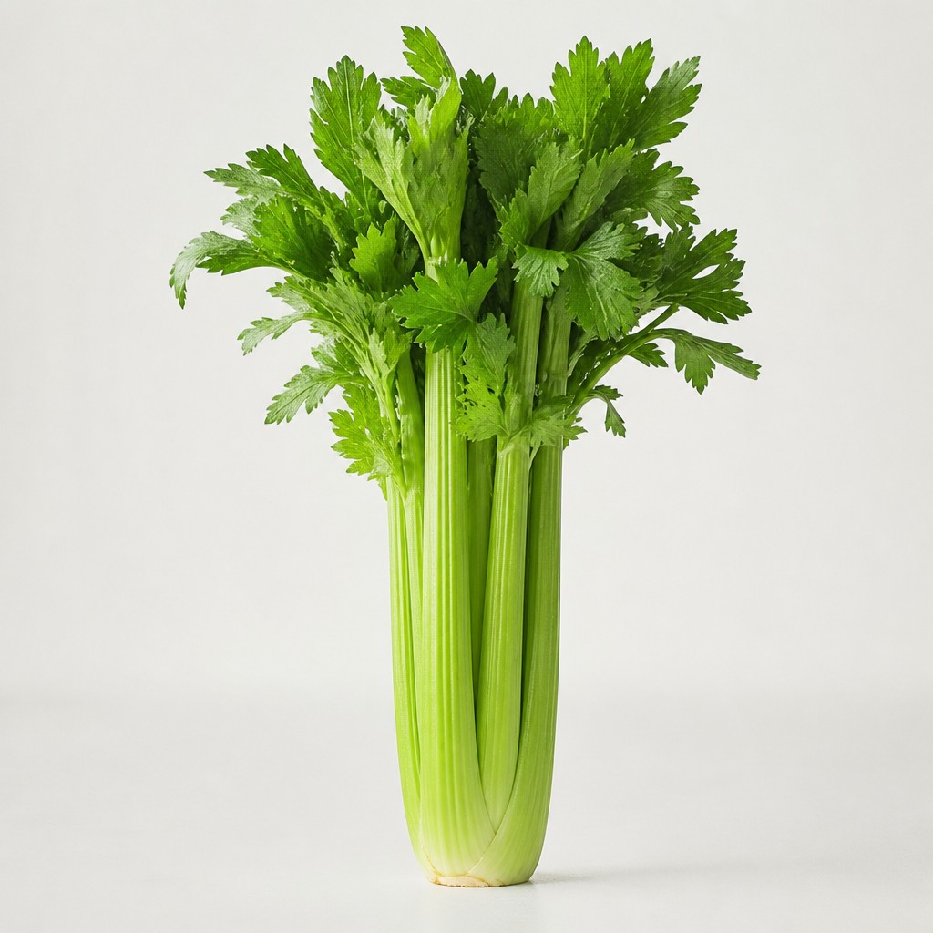 Celery