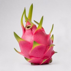 Dragon Fruit Identification Guide