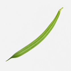 Green Bean Identification Guide