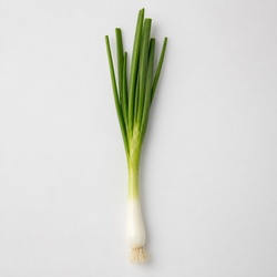 Green Onion Identification Guide