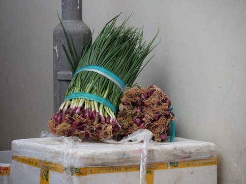 Green Onion
