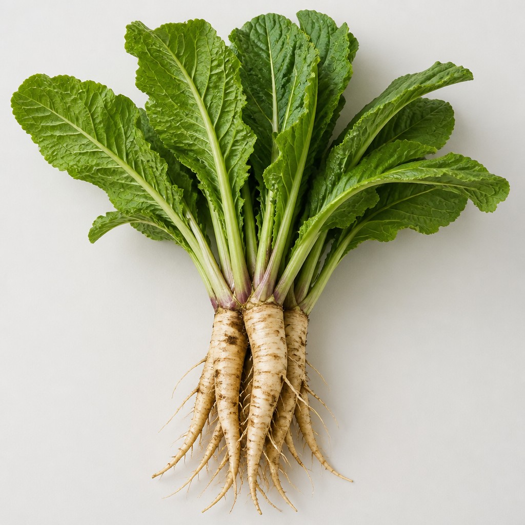 Horseradish