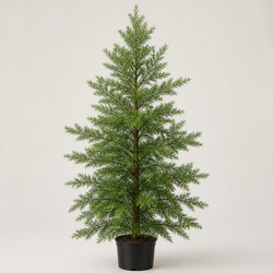 Incense Cedar Identification Guide