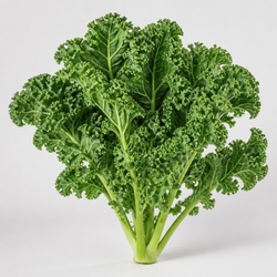 Kale Identification Guide