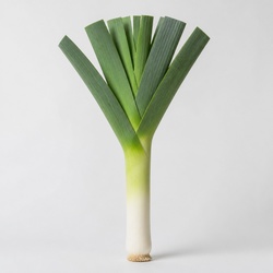 Leek Identification Guide