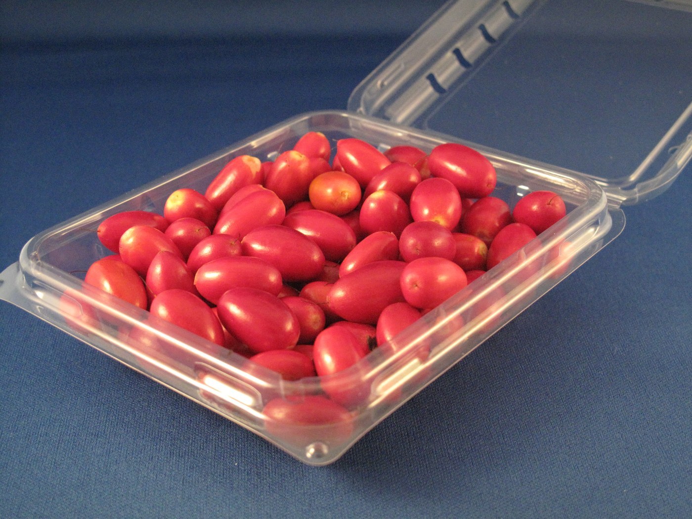 How to Care for Miracle Fruit