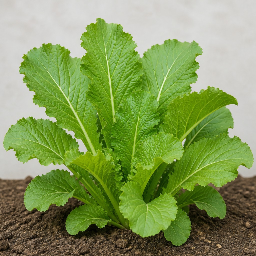 Mustard Greens