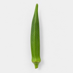 Okra Identification Guide