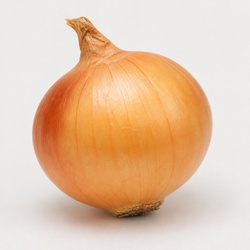 Onion Identification Guide