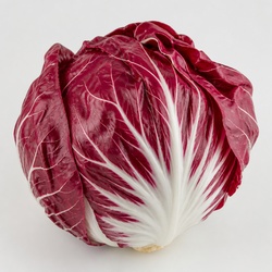 Radicchio Identification Guide