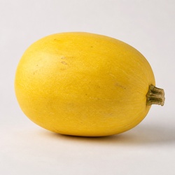 Spaghetti Squash Identification Guide