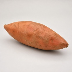 Sweet Potato Identification Guide