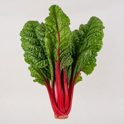 Swiss Chard Identification Guide