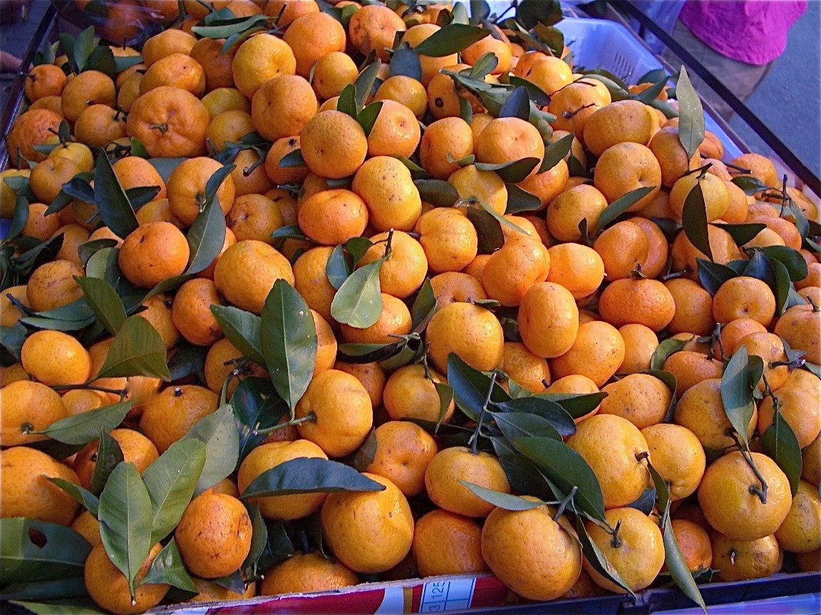 How to Care for Tangerine Tree