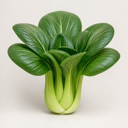 Tatsoi Identification Guide