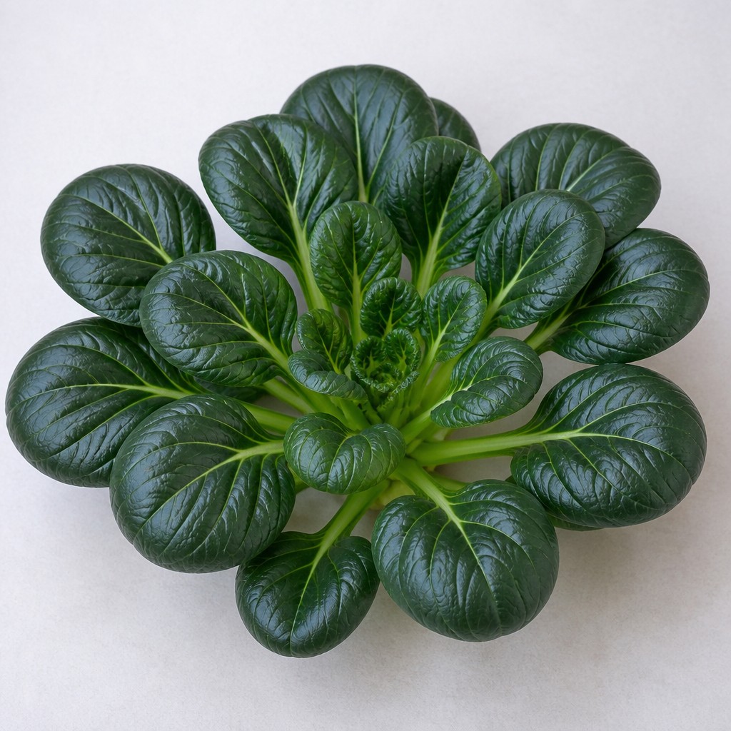 Tatsoi
