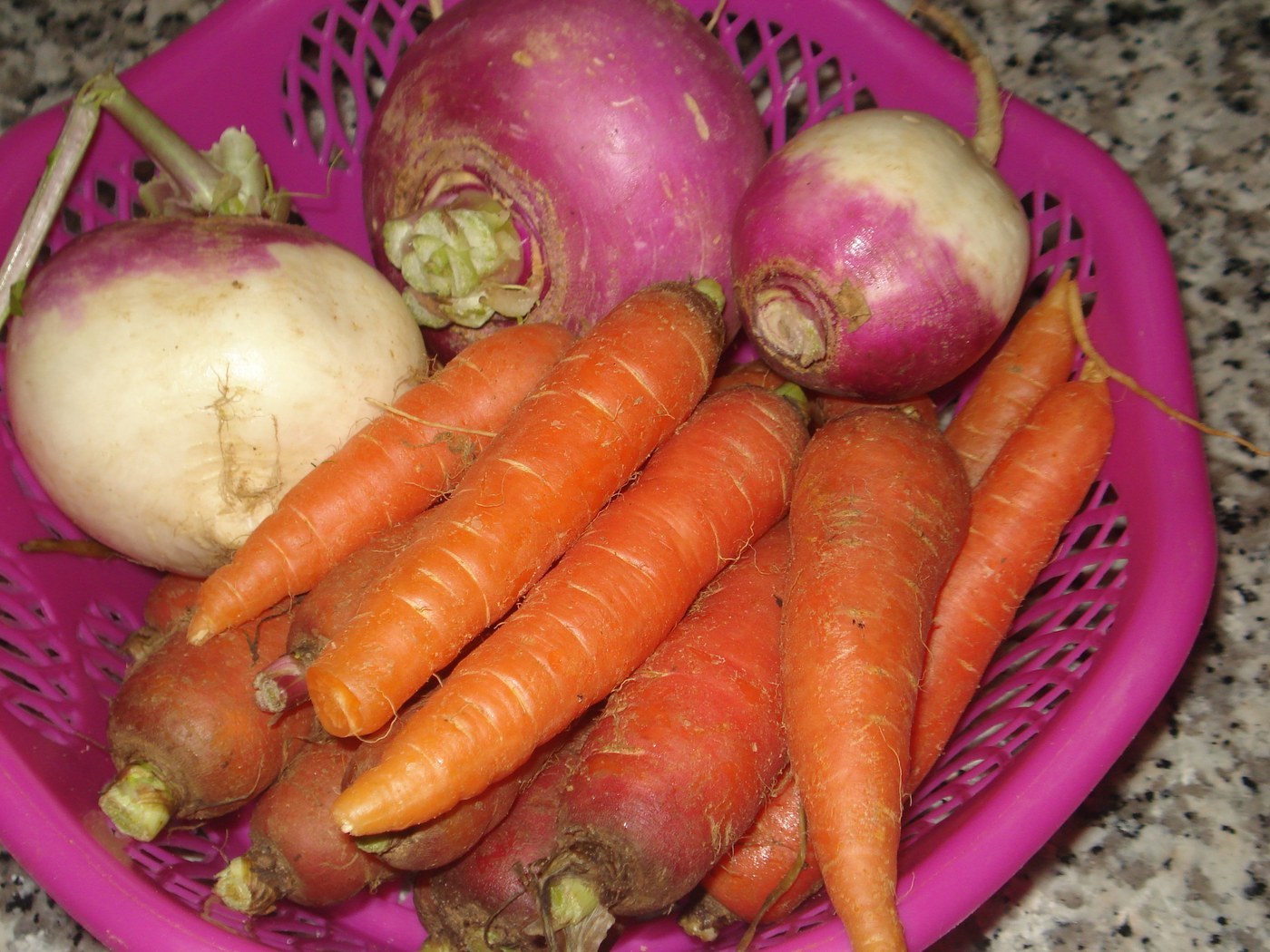 How to Care for Turnip