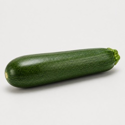 Zucchini Identification Guide