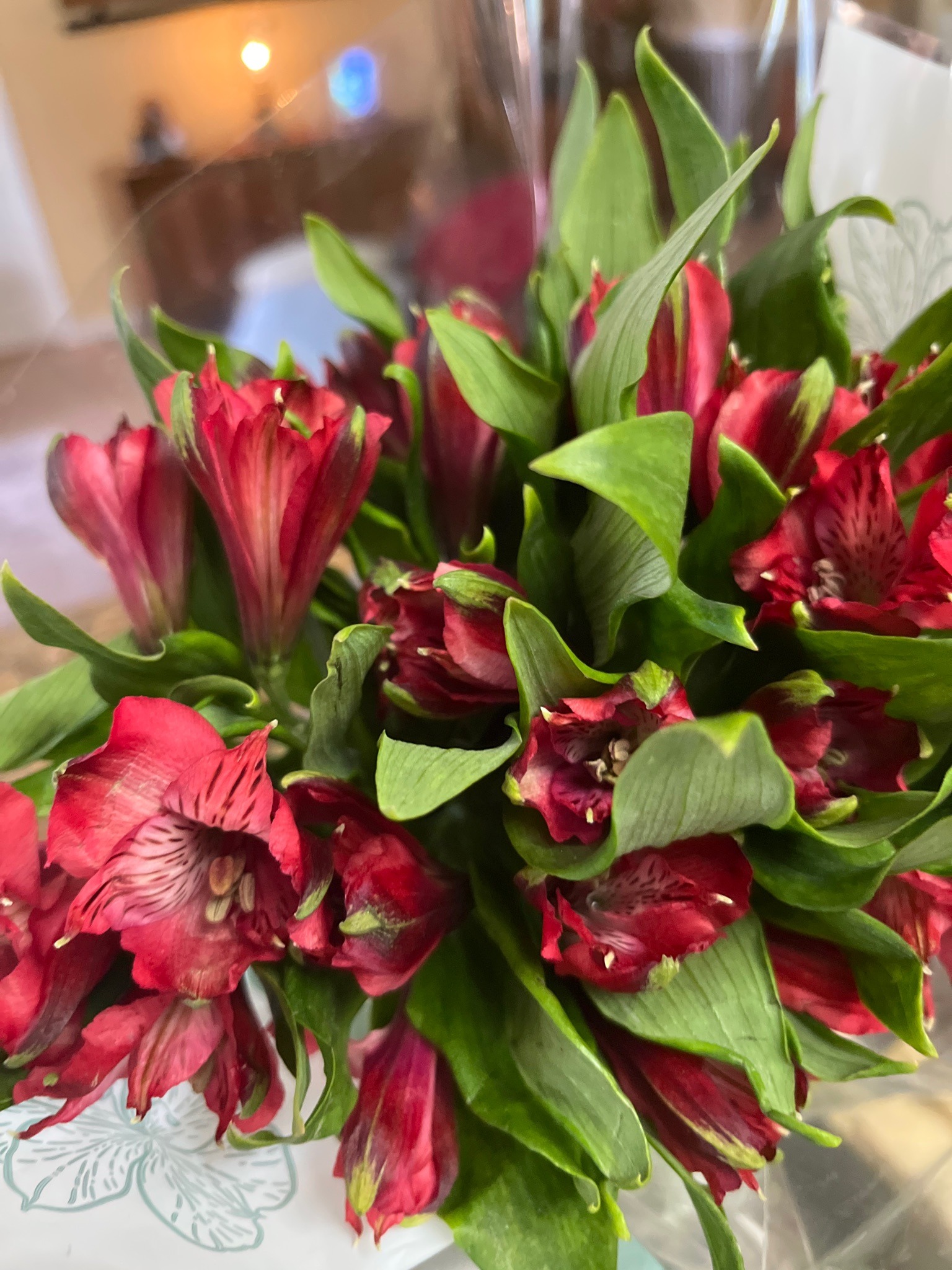 Peruvian Lily