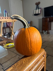 Pumpkin